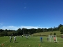 Esc. Fútbol